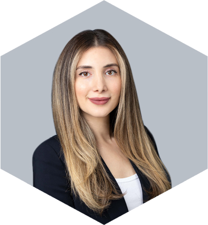 Alina Dermendjian, Personal Injury Lawyer